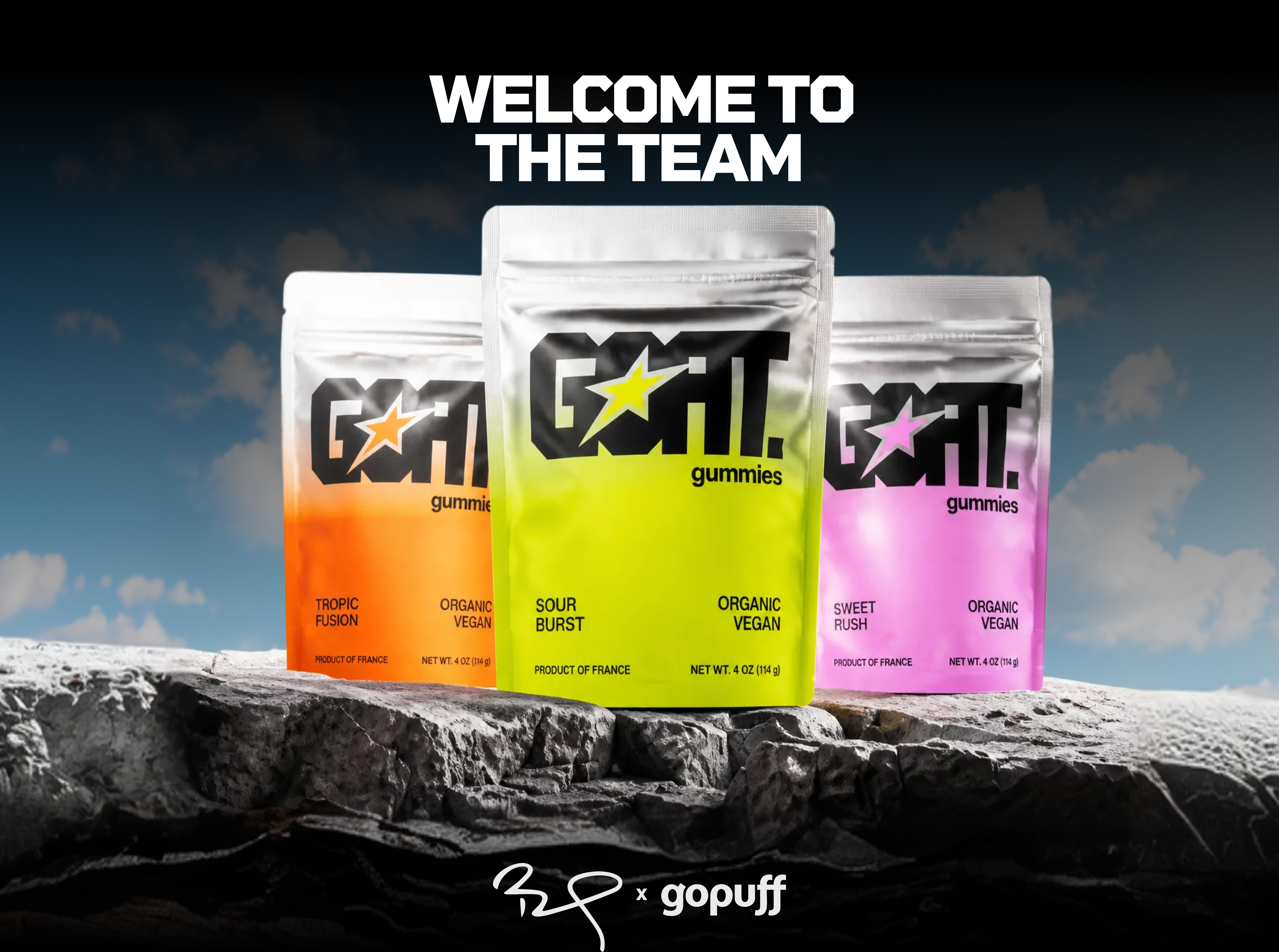 Welcome to the Team